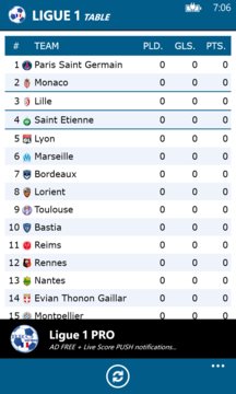 Ligue 1 Screenshot Image