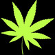 Greenly Icon Image