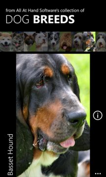 Dog Breed Wallpapers Screenshot Image