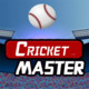 Cricket Master Icon Image