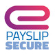 EPayslip Secure Icon Image