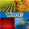 What's the Word? Icon Image