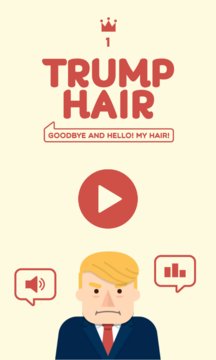 250k Trump Hair