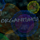 Organisms Icon Image