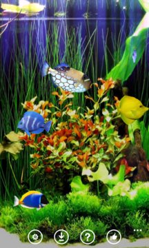 3D Aquarium8 Screenshot Image
