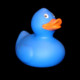 Follow the Duck Icon Image