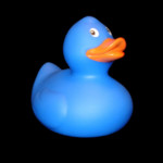 Follow the Duck Image