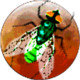Galactic Insects Icon Image