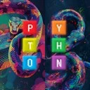 Python Module Manager Icon Image