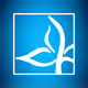The Branch Church Icon Image
