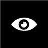 Spy Cam Icon Image