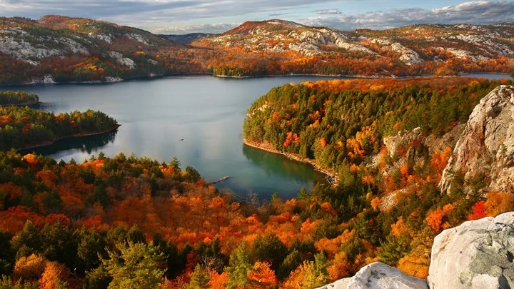 Autumn Colors Image