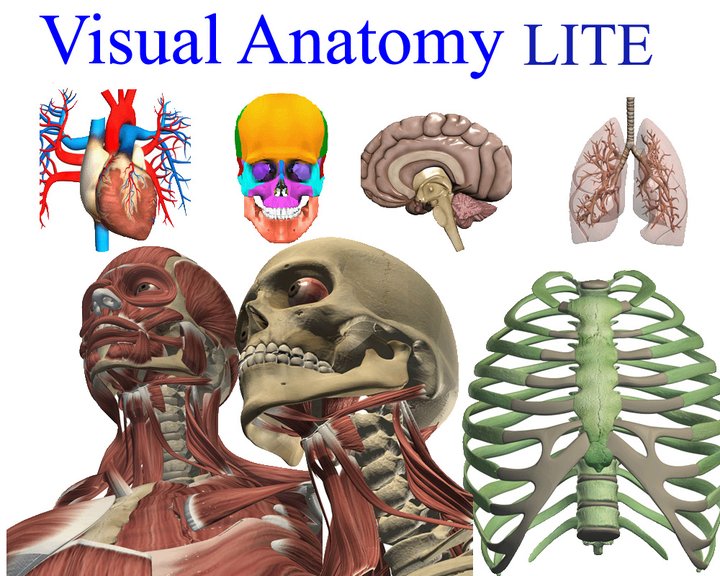 Visual Anatomy Lite Image