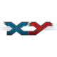 Pocket Monster XY Icon Image