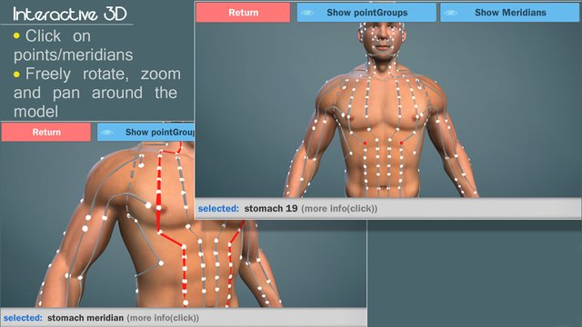 Easy Acupuncture 3D Screenshot Image