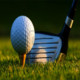 Mini Golf Craze Icon Image