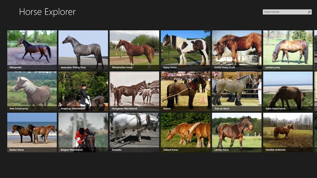 Horse Explorer Screenshot Image