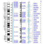 Bioinformatics Image