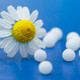 Homeopathy Icon Image