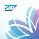 SAP Fiori Client Icon Image