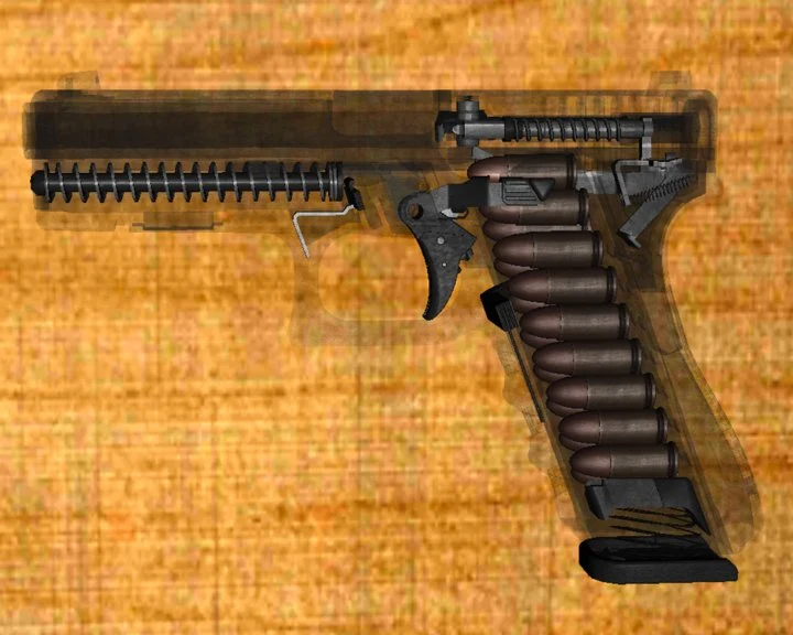Weapon Field Strip 3D Image