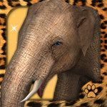 Virtual Pet Elephant 1.0.0.0 for Windows Phone