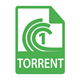 Torrent One Icon Image