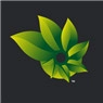 Photosynth Icon Image