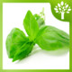 Home Remedies Icon Image