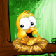 Bird Tale Icon Image