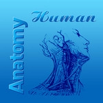 Human Anatomy Pro Image