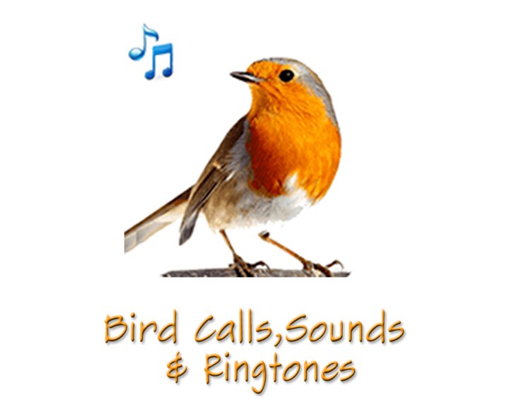 Bird Calls, Sounds & Ringtones Image