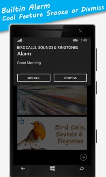 Bird Calls, Sounds & Ringtones Screenshot Image #5