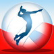 Volleyball Championship 2014 Icon Image
