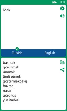 Turkish English Translator App Screenshot 1