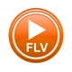 FLV Player Icon Image