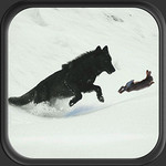 Jungle Wolf Simulator Image