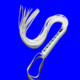 My Whip Icon Image