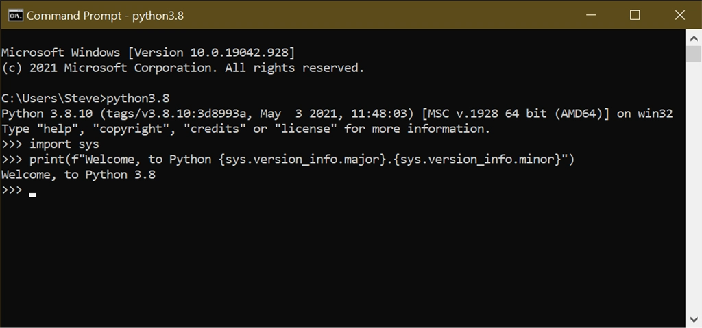Python 3.8 Screenshot Image #2