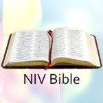 NIV Bible Image