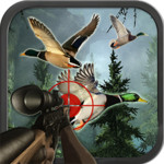 Duck Jungle Hunting Image