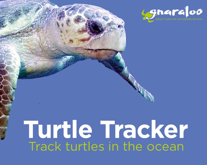 Turtle Tracker