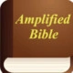 Amplified Holy Bible Icon Image