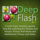 Deep Flash for Windows Phone