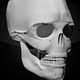 Human skeleton (Anatomy) Icon Image