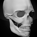 Human skeleton (Anatomy) 1.1.0.0 for Windows Phone