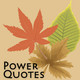 Power Quotes Icon Image