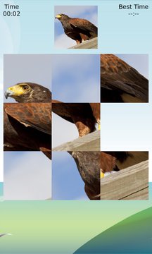 Hawk Puzzle Screenshot Image