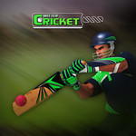 Cricket Batter Image