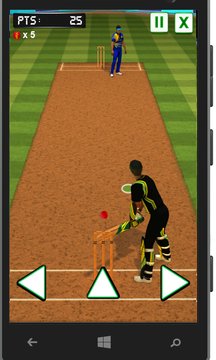 Cricket Batter Screenshot Image